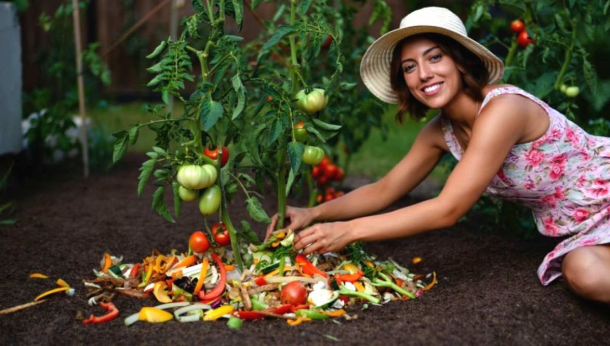 Jardinière qui utilise des épluchures