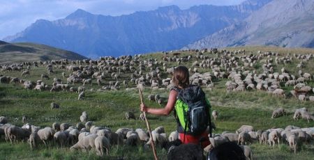 Maison de la transhumance