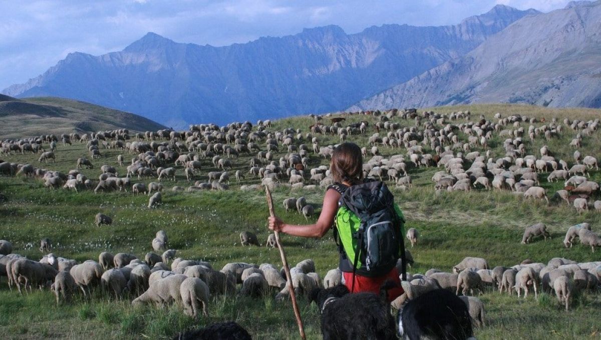 Maison de la transhumance