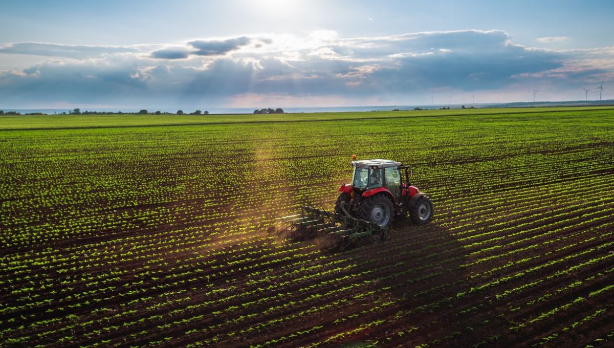  « Une autre agriculture est à notre portée » selon Jacques Caplat