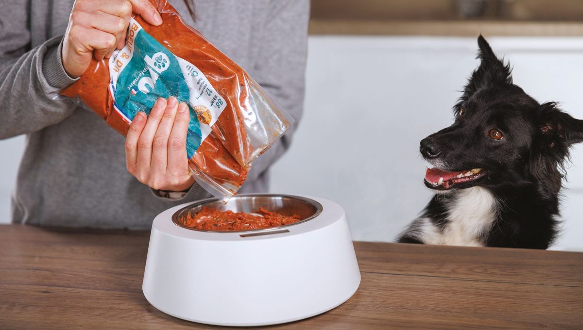 Rendre plus transparent le secteur du Petfood avec QRU
