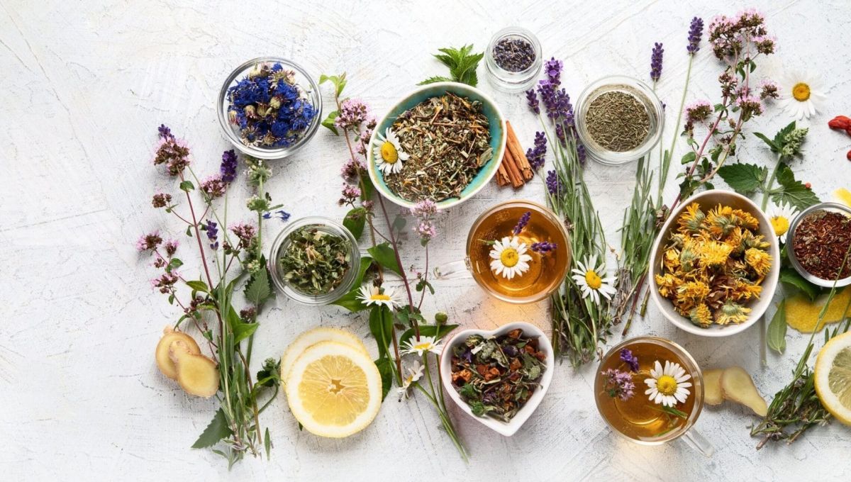 Various kinds of herbal tea