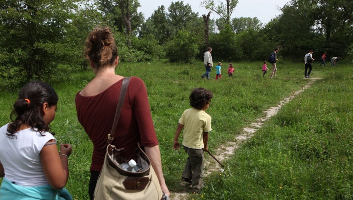 Villeurbanne : La nature à hauteur des plus jeunes avec Anim’Feyssine