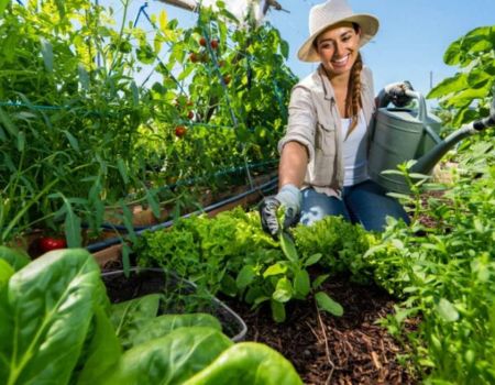 Jardinières dans son jardin