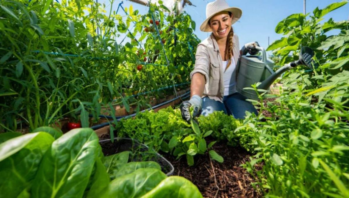 Jardinières dans son jardin