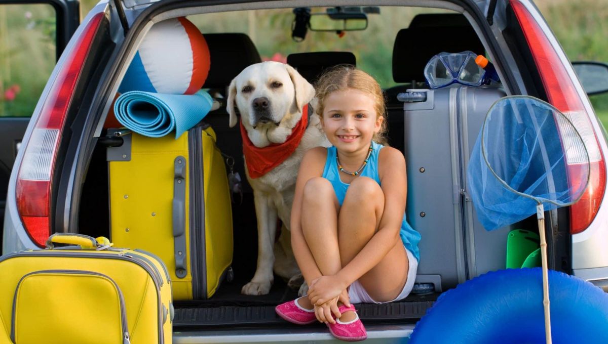 voiture chargée vacances petite fille chien