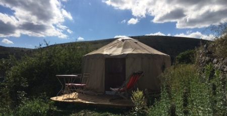 Les ânes du Vigos Cévennes