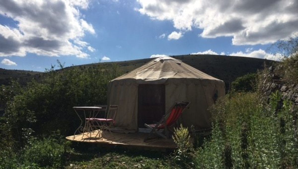 Les ânes du Vigos Cévennes