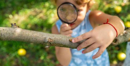 Yvelines : cette commune lance son Atlas de la biodiversité communale