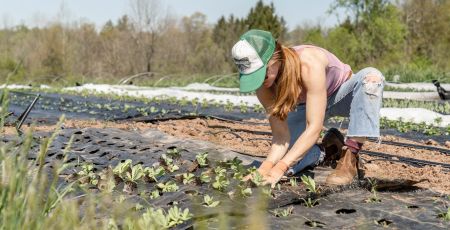 Une agricultrice plante des légumes en plein air